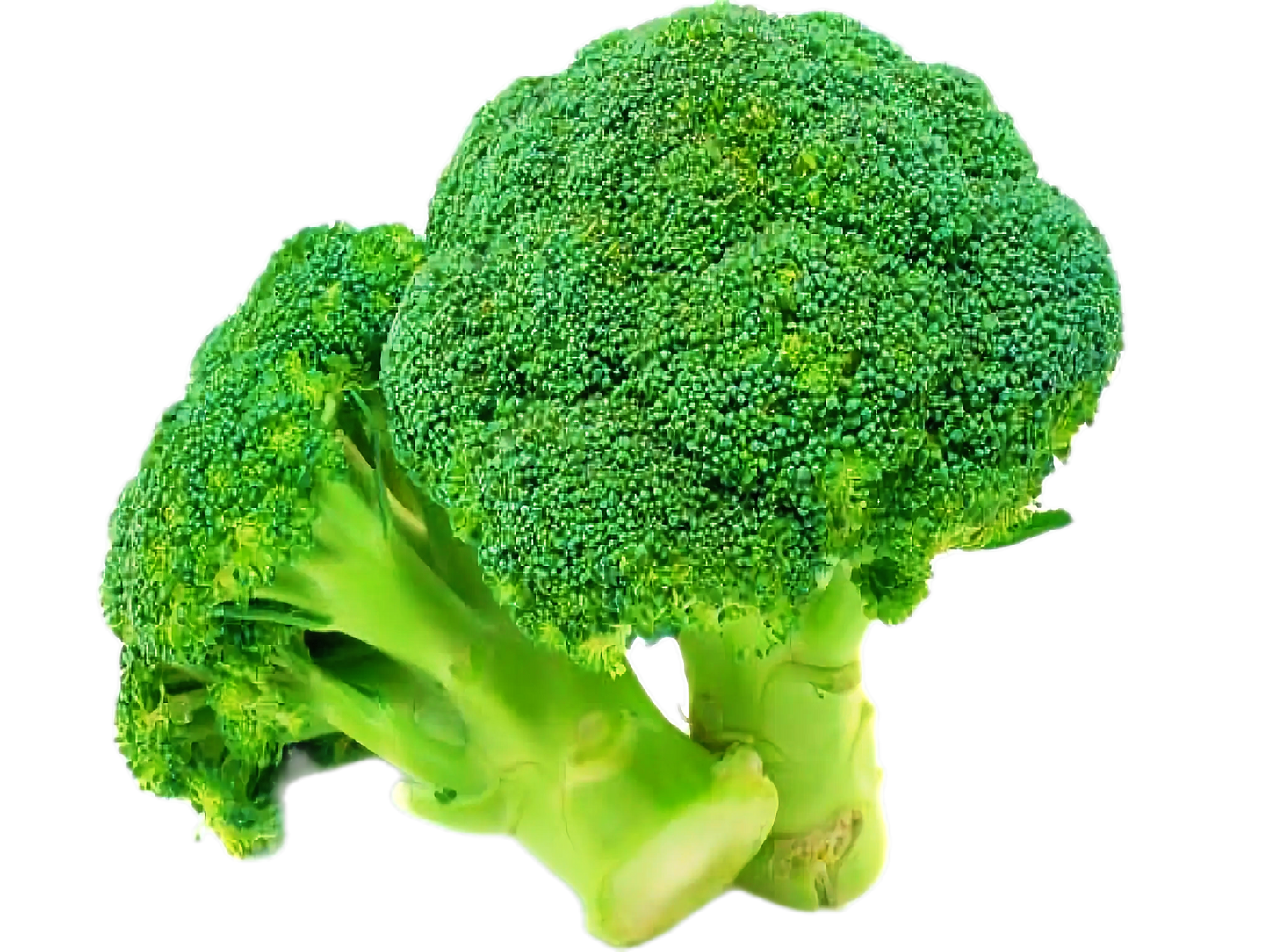 Hortalimex Brocoli Premium