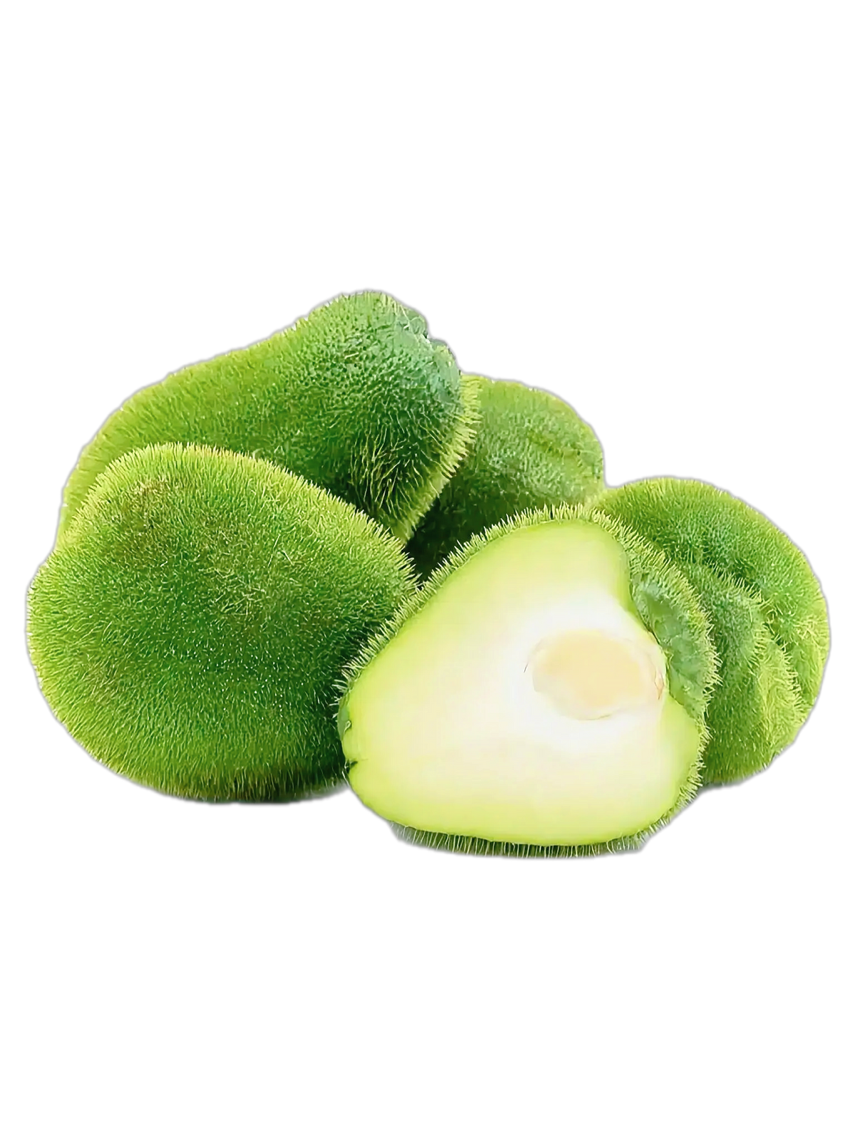 Hortalimex Chayote Con Espina Premium