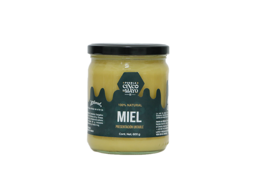 Caja Colemiel Miel Presentacion Cremosa 600G