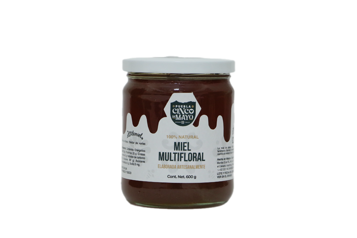 Colemiel Miel Mulitflor 600G