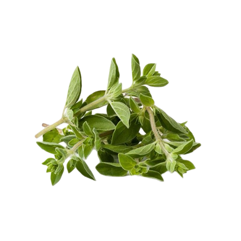 Mis Tierras Oregano