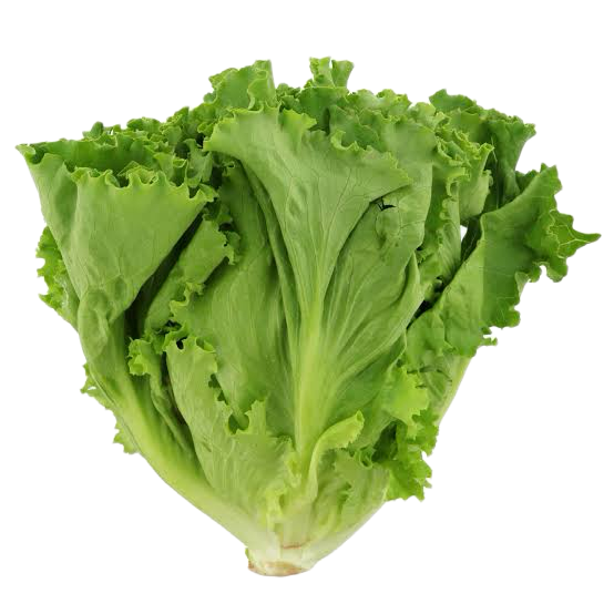 Mis Tierras Green Leaf