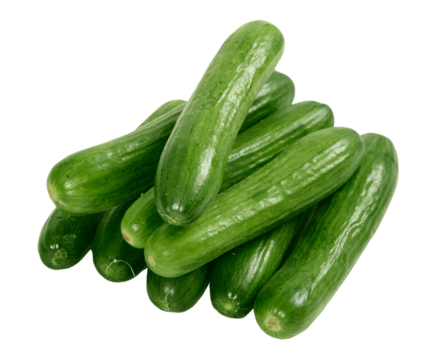 Mis Tierras Cucumber