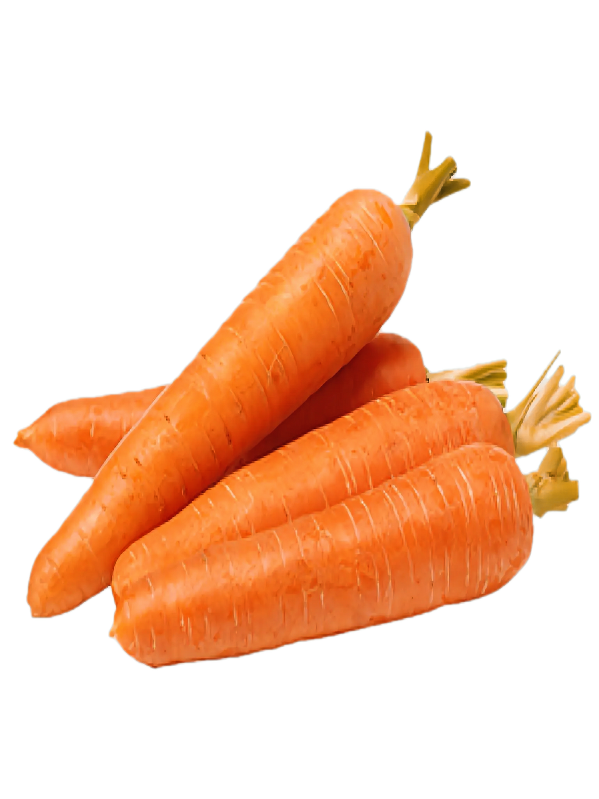 Hortalimex Zanahoria Jumbo Premium