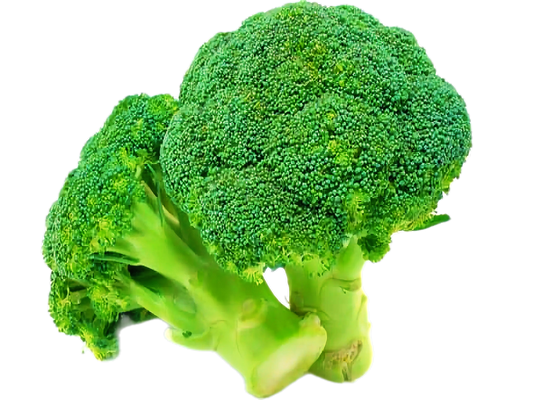 Hortalimex Brocoli Premium
